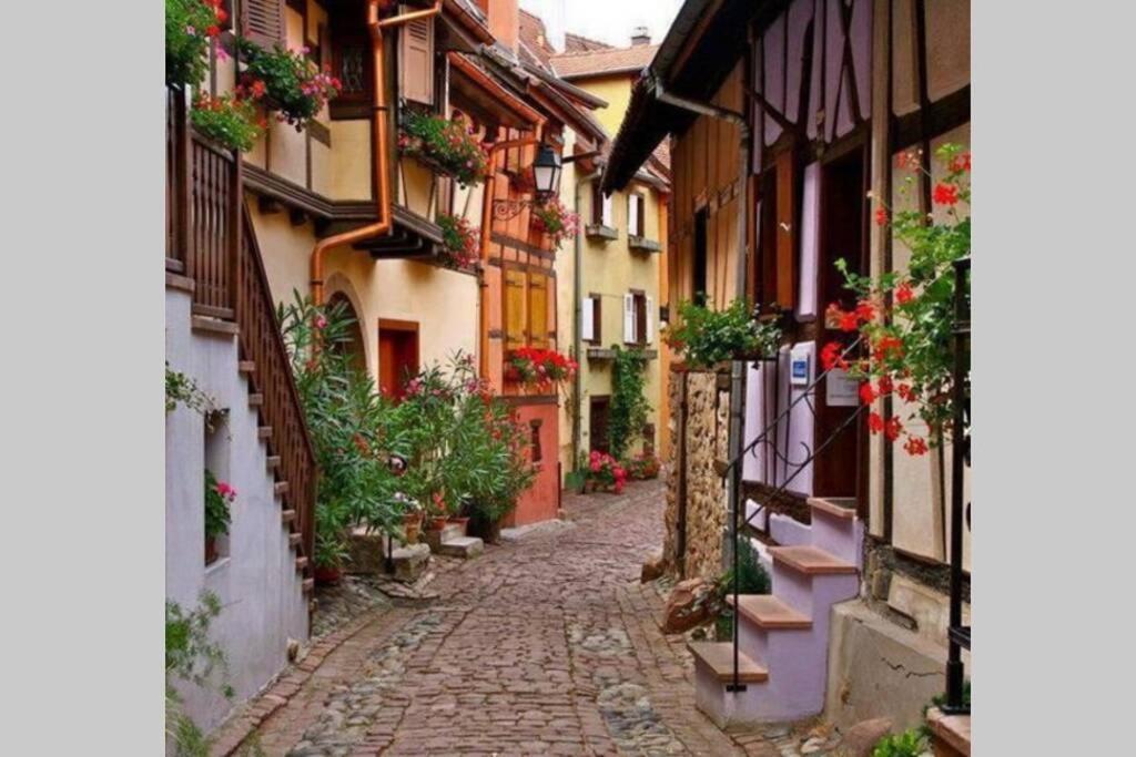 Gite A Eguisheim Proche De Colmar Et Kaysergberg. 外观 照片