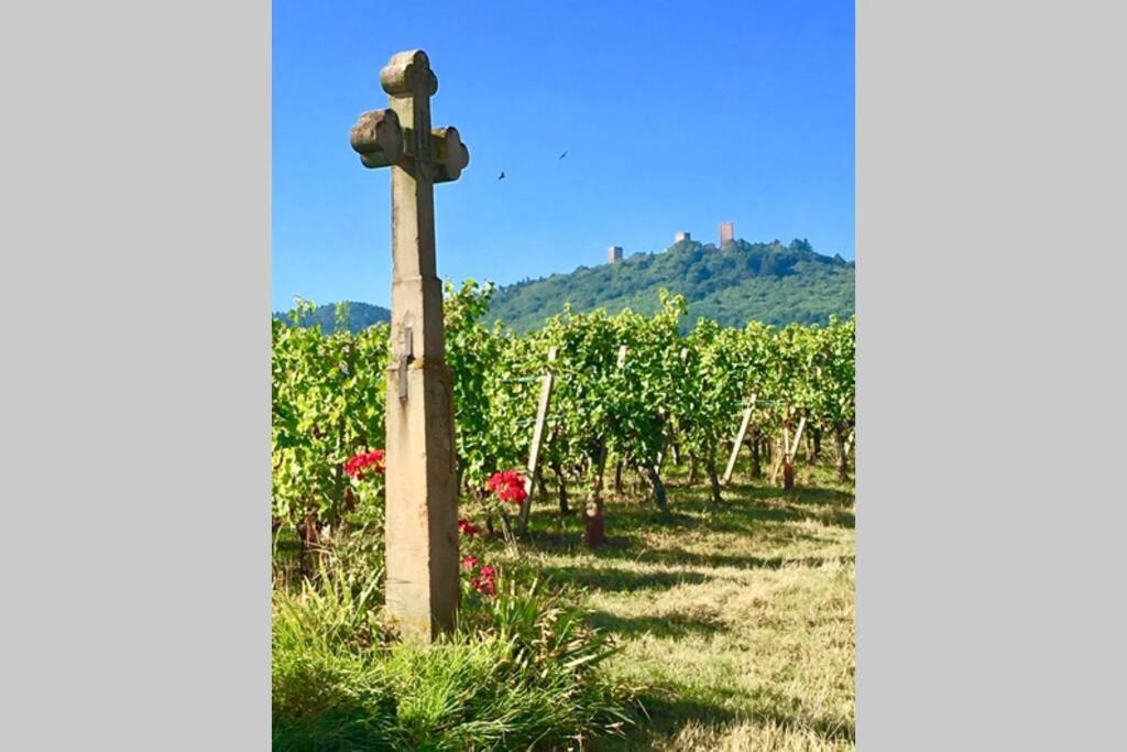 Gite A Eguisheim Proche De Colmar Et Kaysergberg. 外观 照片